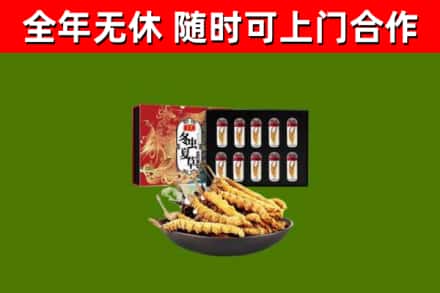 井陉回收冬虫夏草价格
