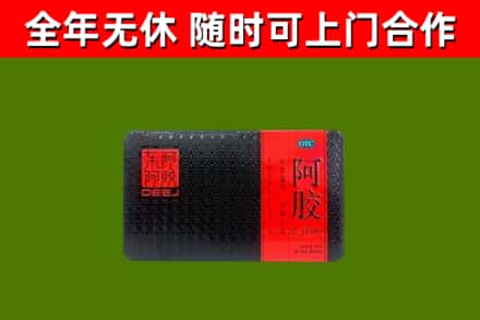 井陉回收阿胶