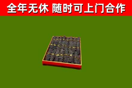 井陉回收海参